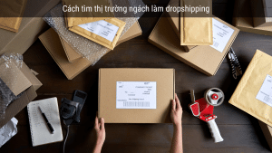 chọn ngách dropshipping (2)
