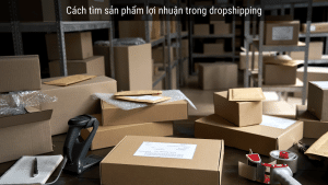 dropshipping 23