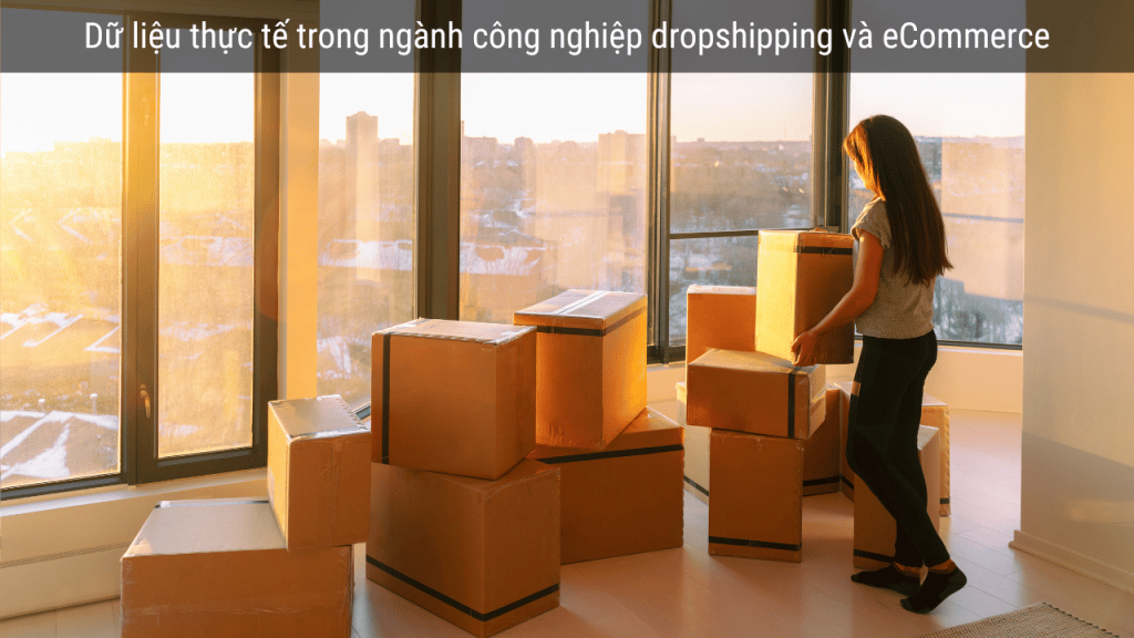 Dữ liệu thực tế trong ngành công nghiệp dropshipping và eCommerce 15 dropshipping