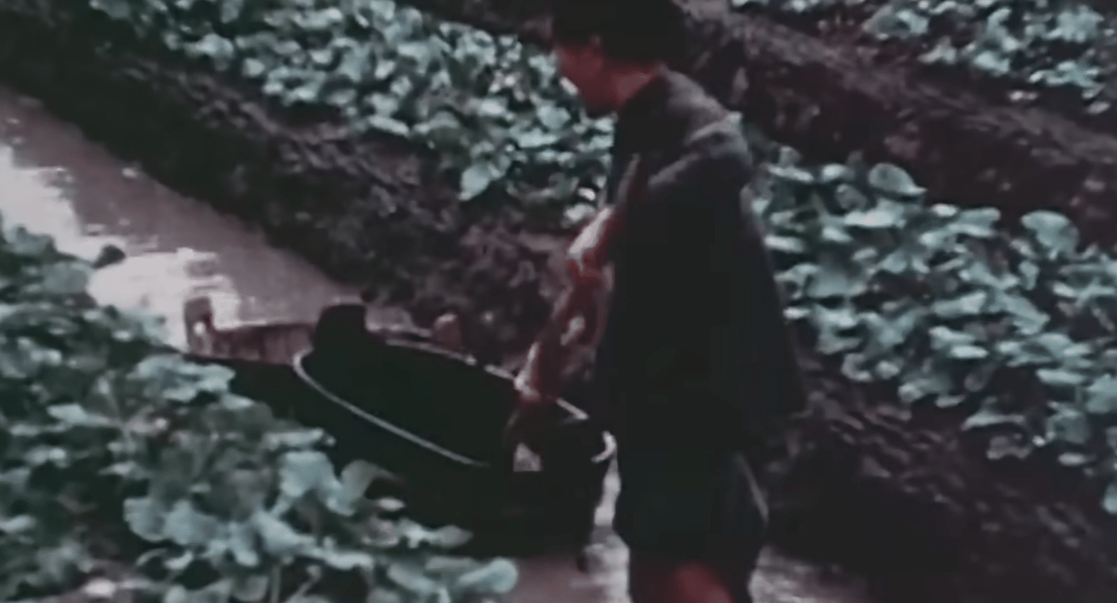 AD 4nXd5dD7OLjVNB7AvbVQBVWPzGeDN0cyV3x CBmH5uM7HPmueSM6FxwM3tmcfhgjSv5ivvkFQXZDlf9WDW6VXS89XkLHh4xj7trH3KTENab4GP71pmVMmdMa3ASwWCxo6G4Jbm4l