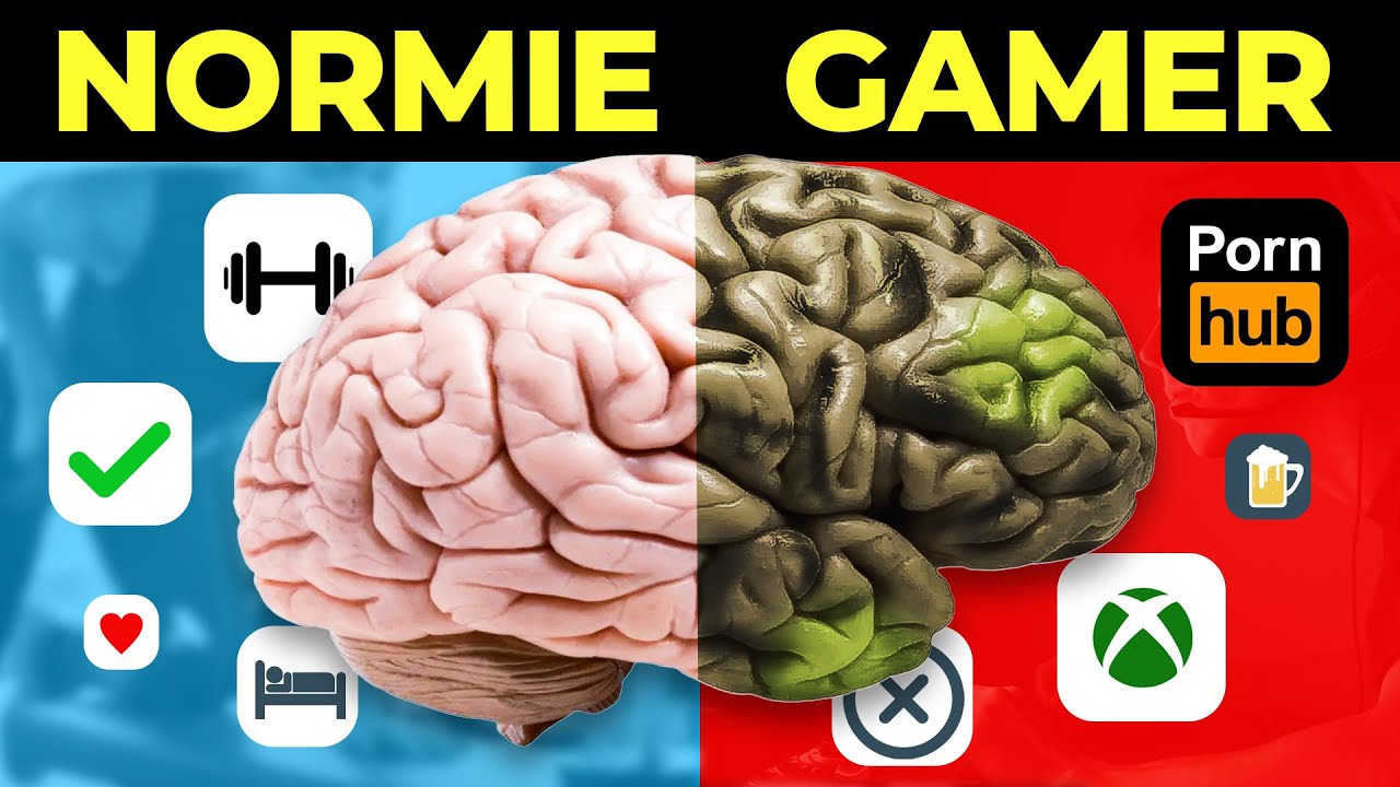 Game có ảnh hưởng như thế nào tới bộ não 16 What Gaming Does to Your Brain